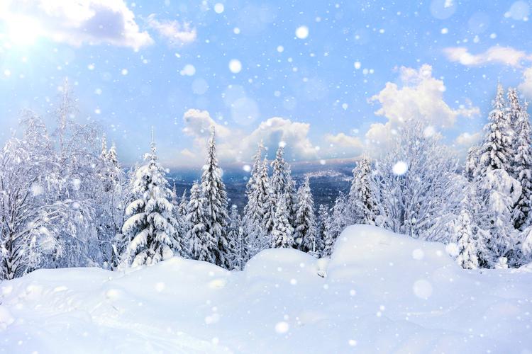 Новогодний путь поэта: от Тархан до Саранска