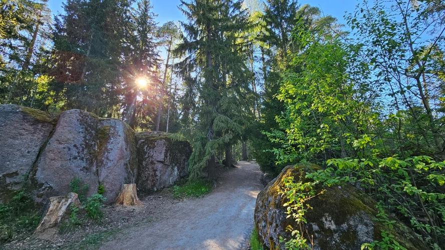 Фестиваль "Средневековые дни в Выборге": путешествие в прошлое