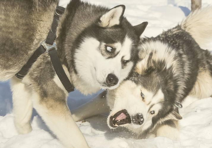 Экспресс за пределы времени