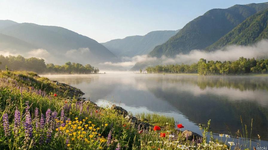 Автобус| К жемчужине Алтая: путешествие к Телецкому озеру