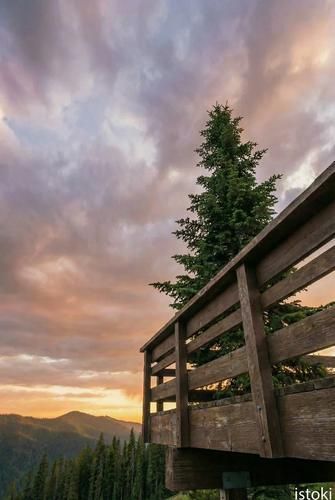 Автобус| К жемчужине Алтая: путешествие к Телецкому озеру