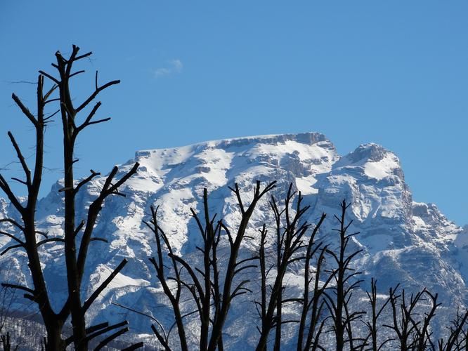 Ритм трёх столиц и шёпот гор Джейраха