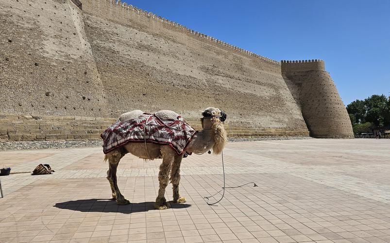 За следами Чингисхана — к трону Тамерлана
