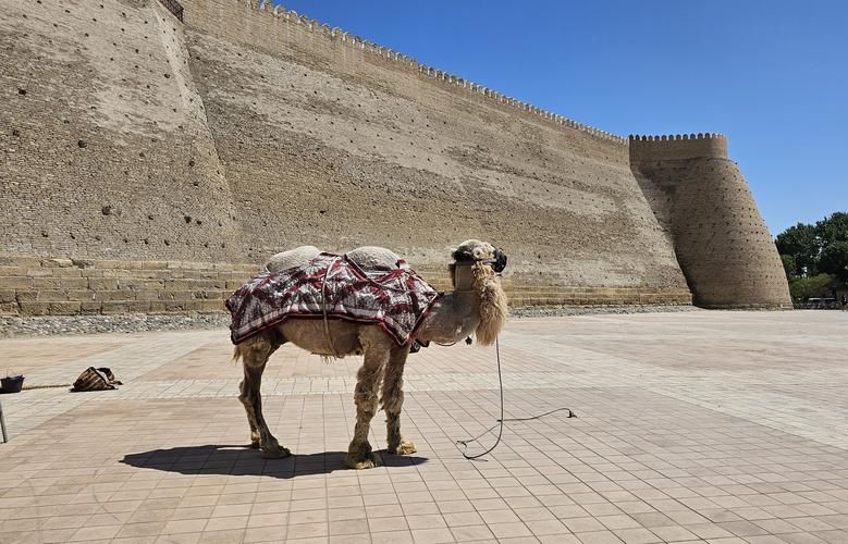 Сказка без границ: Новый год в сердце Востока