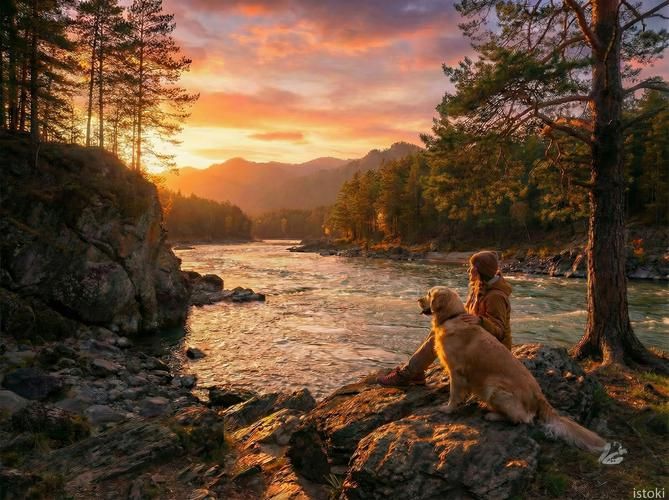 Чуйский тракт: дорога к сердцу Алтая