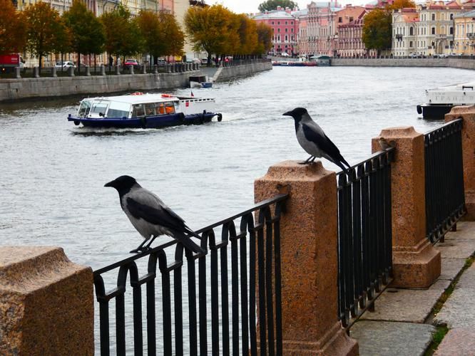 Сила природы Карелии 2. Рускеала, остров Койонсаари