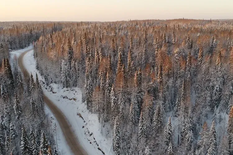 СОЛОВКИ ДЛЯ ТУРИСТОВ ИЗ САНКТ-ПЕТЕРБУРГА 6 ДНЕЙ (ЛАЙТ) (промо)