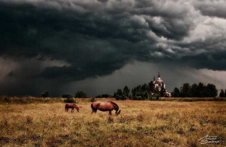 Автобус| Легенды и сокровища Селигера