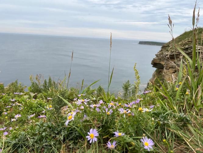 Вместе к Тихому океану: семейный тур во Владивосток
