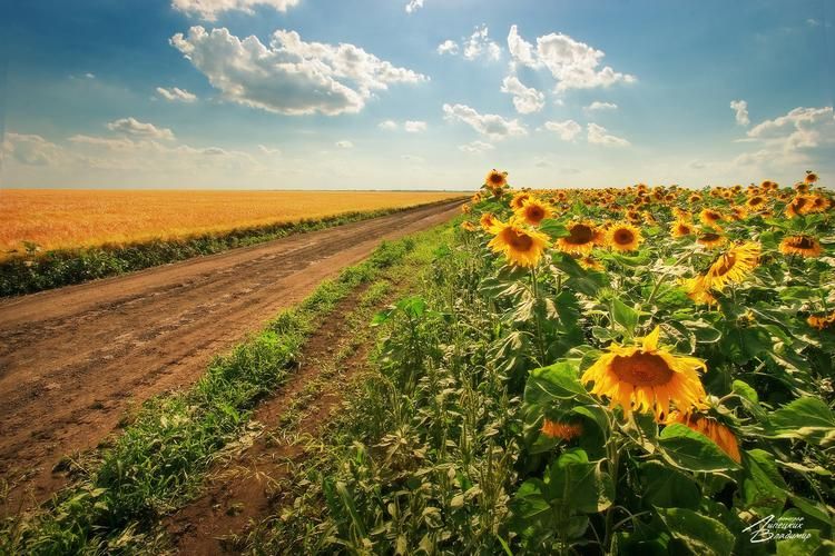 Где волны — не солёные, а тёплые, и время — не спешит