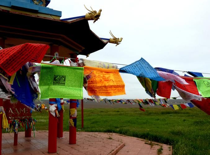 Калмыкская весна: когда степь становится садом