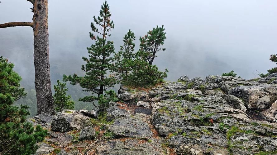 Автобус| Зюраткуль: высоты Урала и благородство маралов