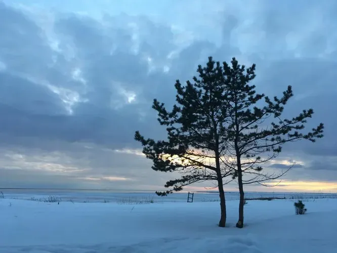 ЗОЛОТАЯ ОСЕНЬ НА СОЛОВКАХ из Москвы (промо)