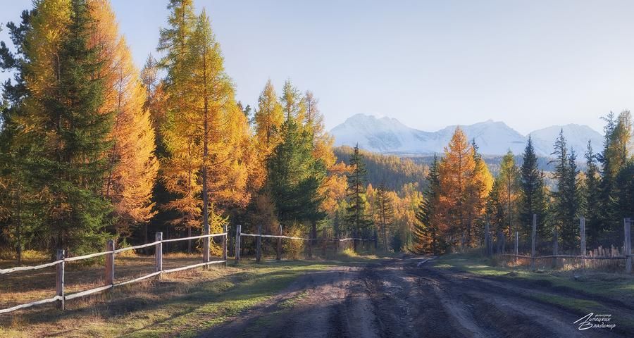 Колывань купеческая