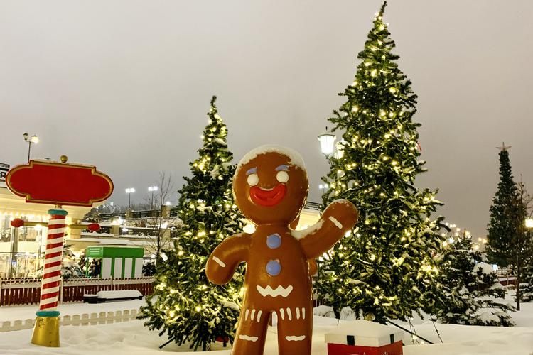 Татарский Новый 2026 год с Кыш Бабай  5д/4н заезд  31.12.2025