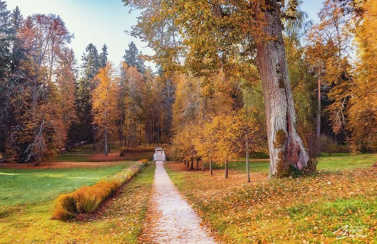 Дорогой Славы