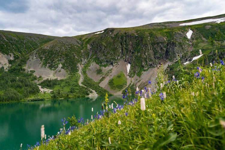 Первый шаг в дикую Россию