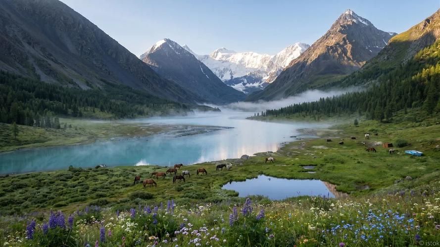 Алтайская симфония чувств