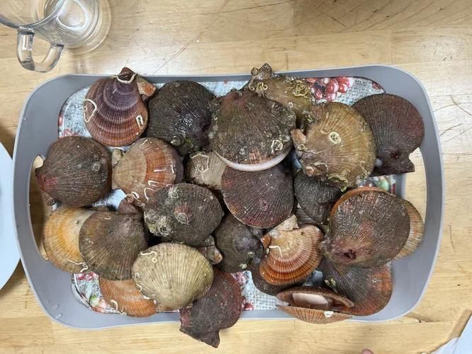 Последний километр севера России: полуострова Средний и Рыбачий (промо)