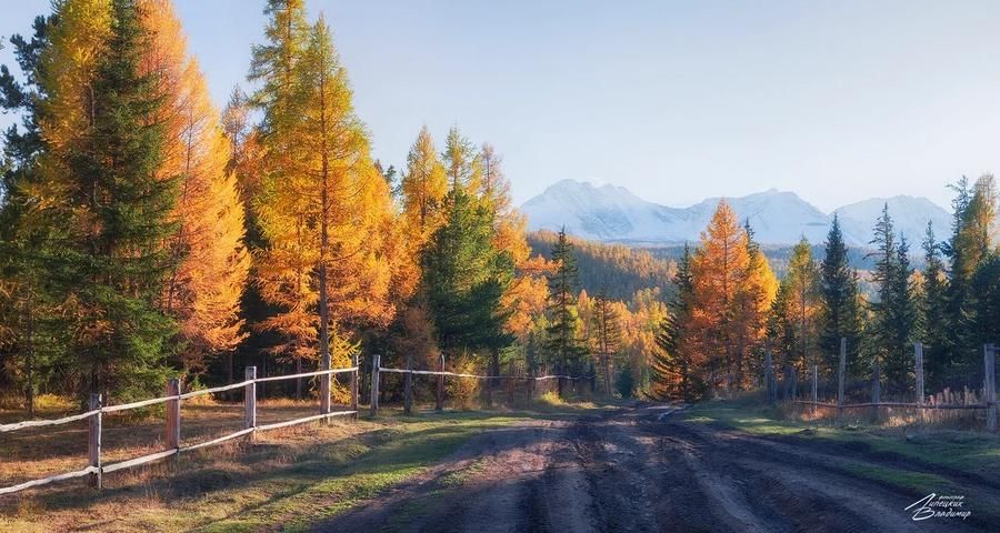 Земля духов и древних легенд: путешествие по Алтаю