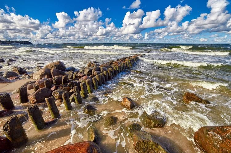 Автобус| Дыхание моря и истории: по курортам Восточной Пруссии