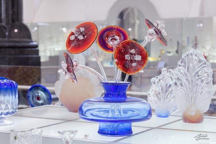 Ретропоезд в Гусь-Хрустальный за диковинным цветком